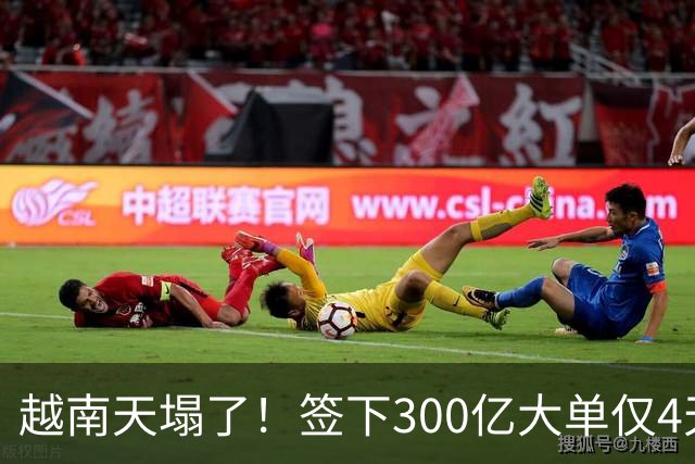 越南天塌了！签下300亿大单仅4天，中国新出一项公告，项目或流产